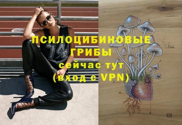 MDMA Premium VHQ Рославль