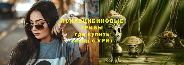 крисы Алексеевка